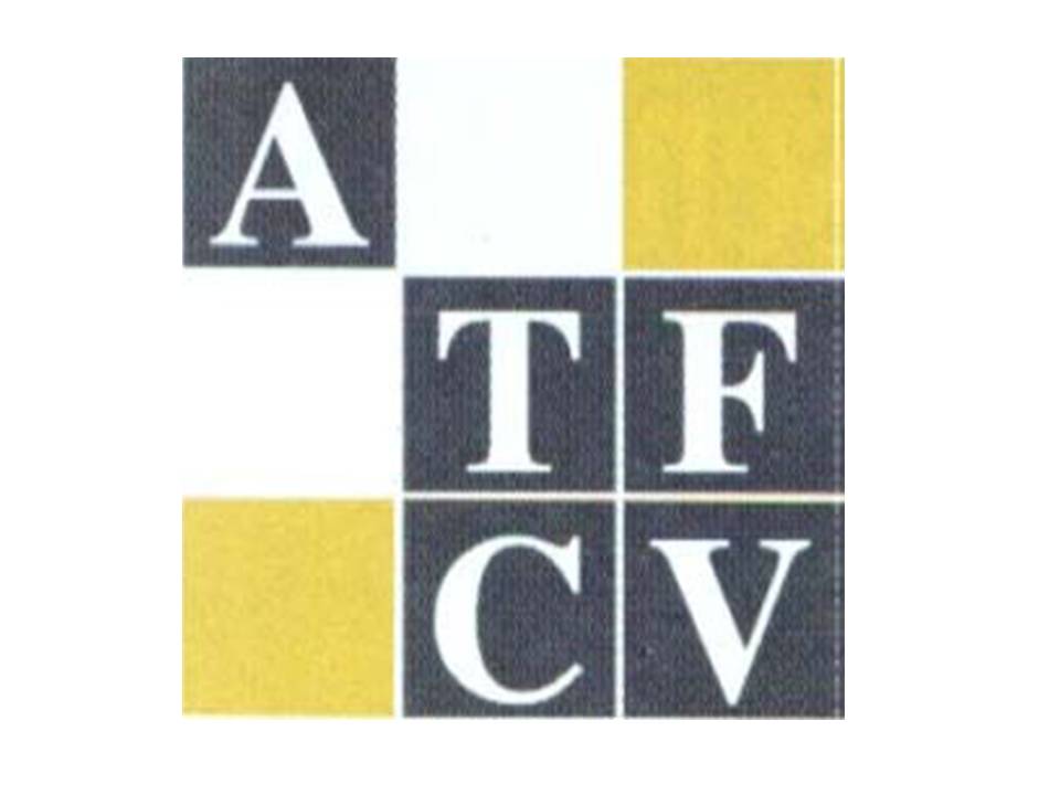 Asociación de Terapeutas de Familia de la Comunidad Valenciana (ATFCV)
